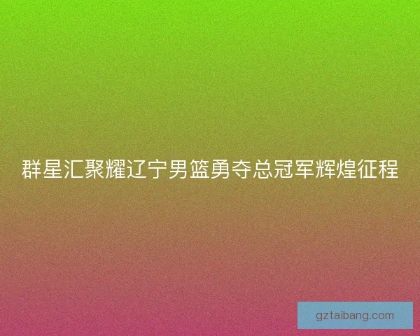 群星汇聚耀辽宁男篮勇夺总冠军辉煌征程 群星汇聚耀辽宁男篮勇夺总冠军辉煌征程