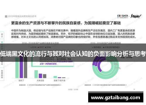 低端黑文化的流行与其对社会认知的负面影响分析与思考